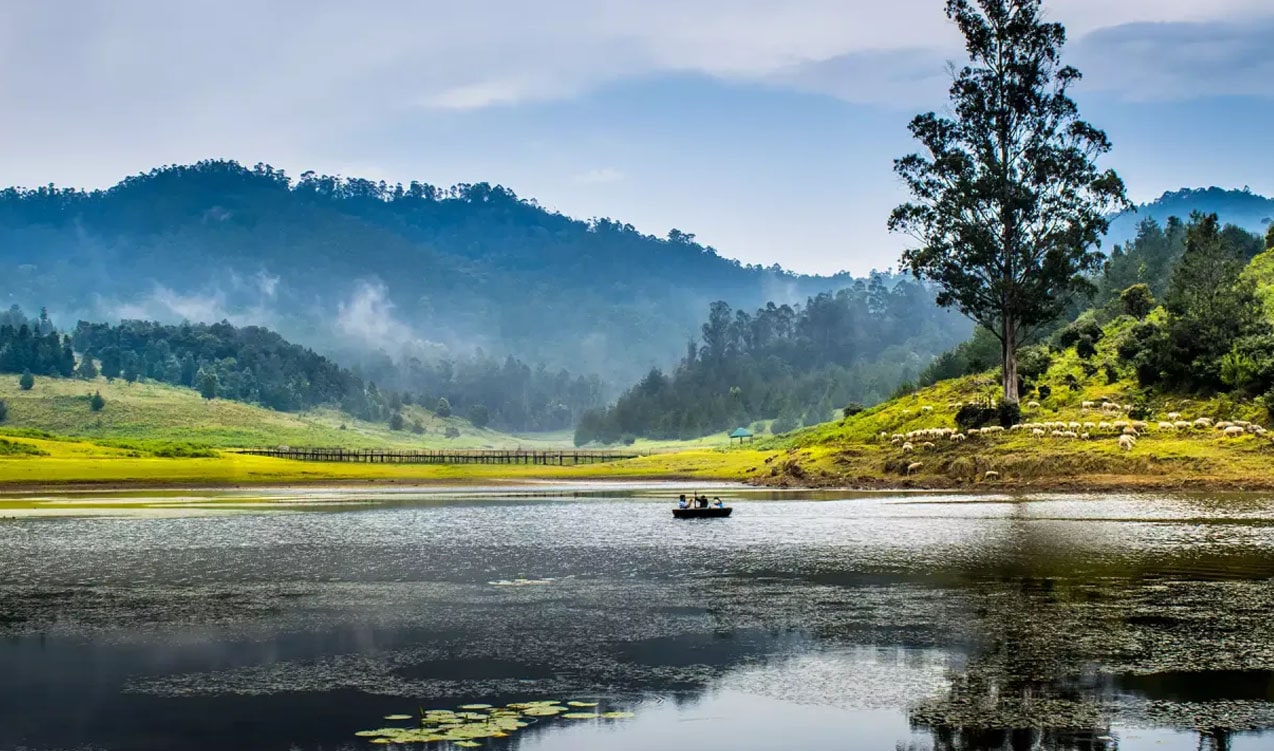 South India Honeymoon Discovery Tour - India tour packages
