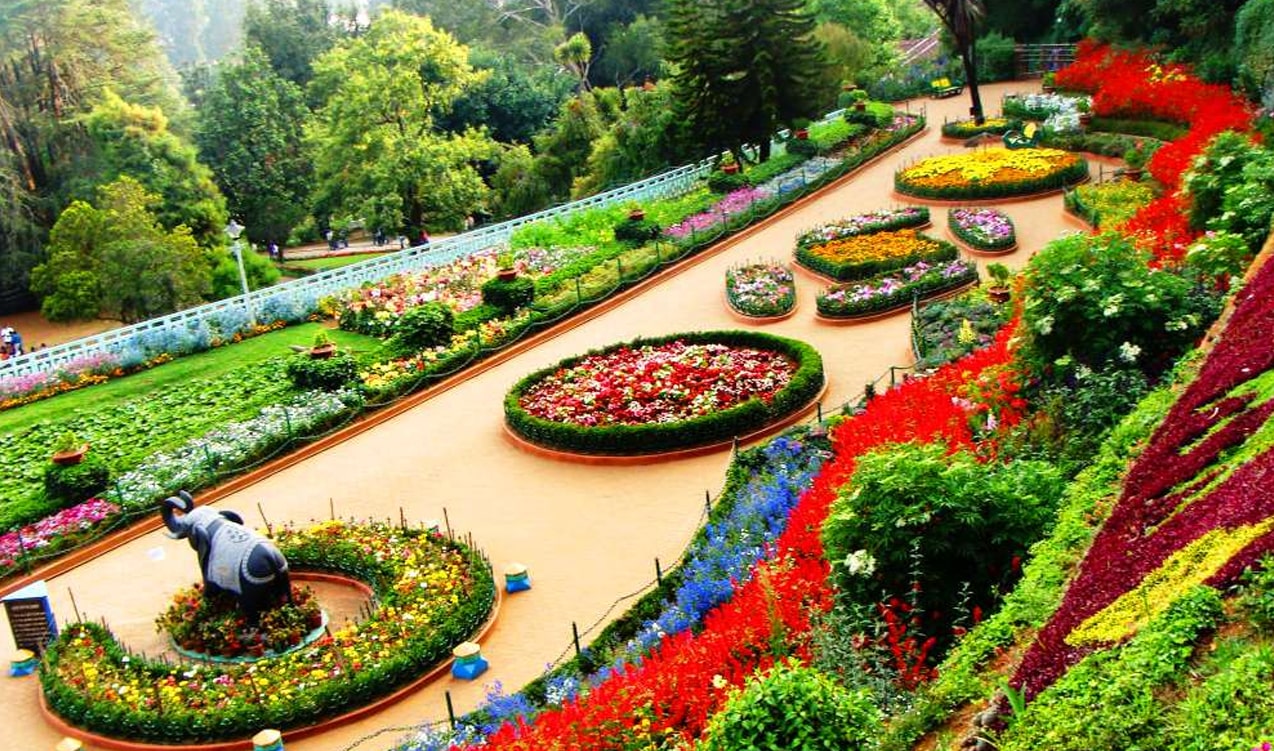 South India Explorer Holiday Tour - India tour packages